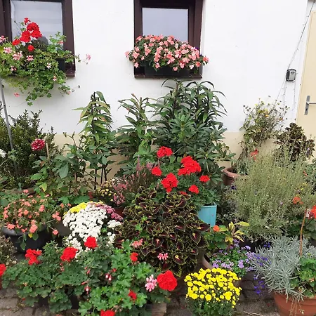 4 Naehe Elmshorn Barmstedt